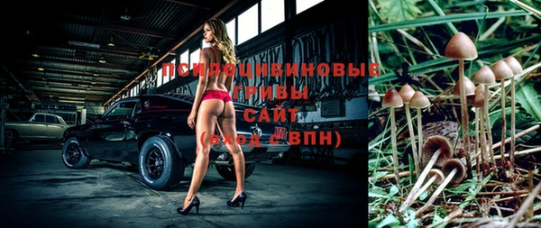 спиды Алзамай