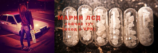спиды Алзамай